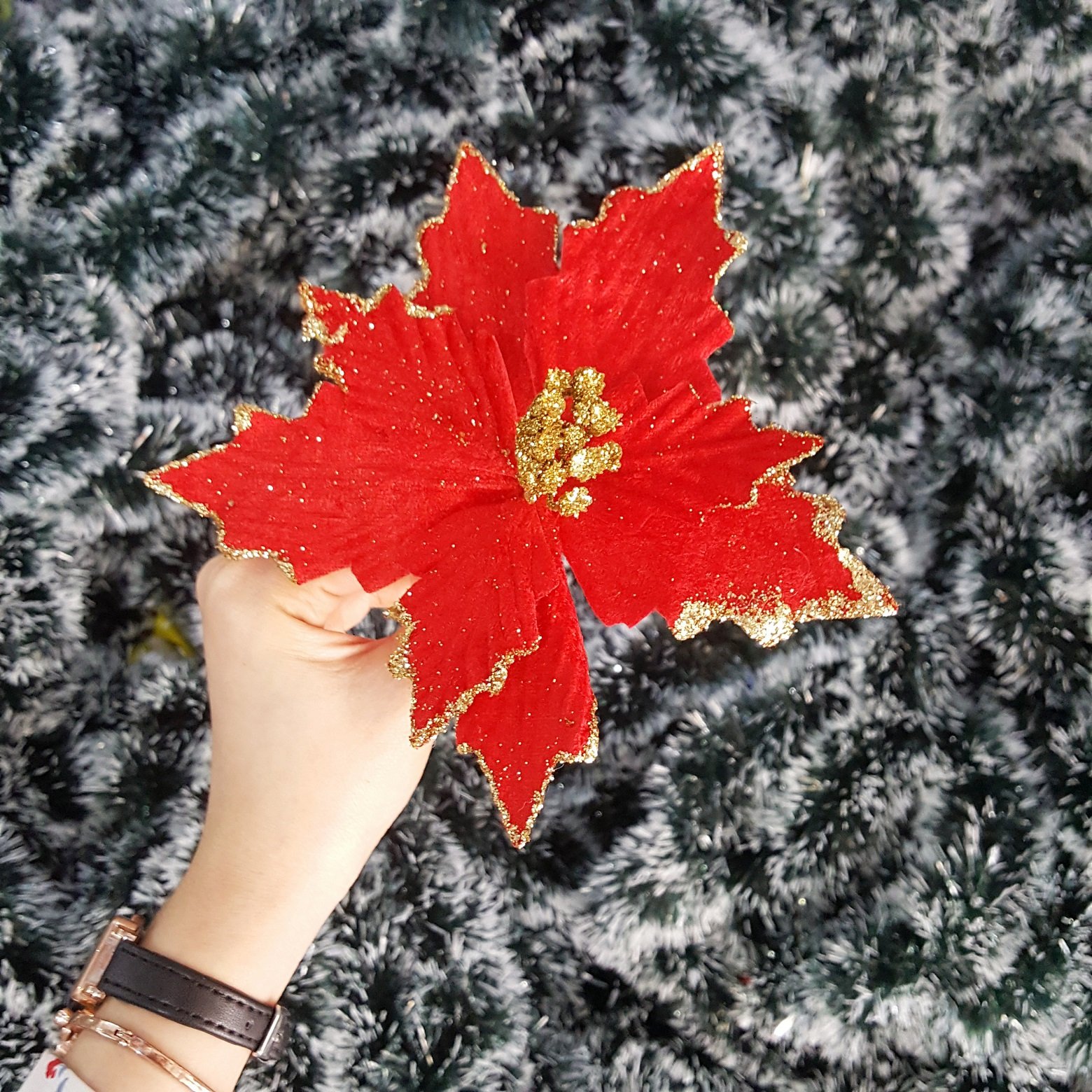 Hoa trạng nguyên đỏ trang trí