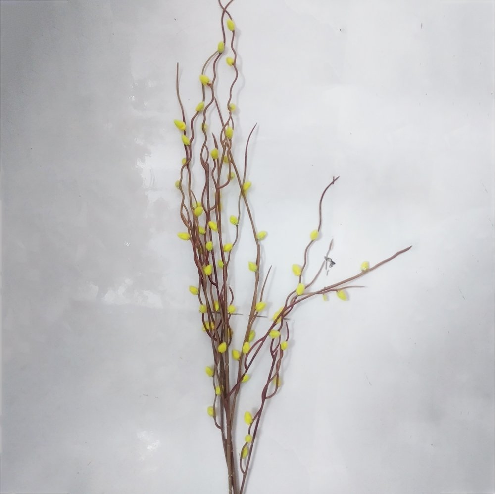Cành hoa tầm xuân trang trí