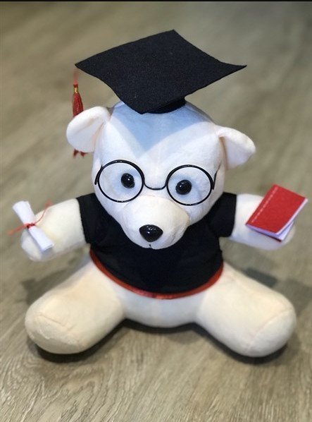 Gấu bông tốt nghiệp đeo kính