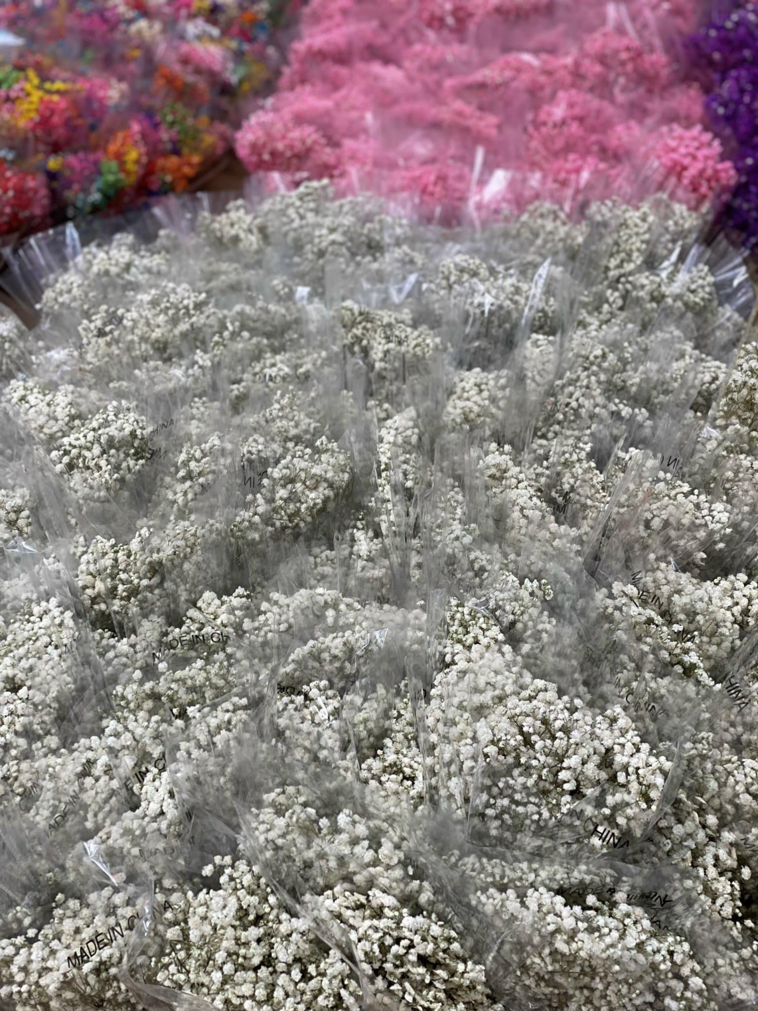 Hoa khô baby nhiều màu trang trí 100gr/bịch
