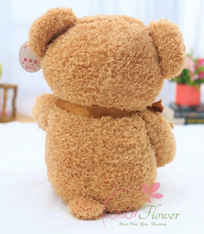 Gấu Teddy ôm trái tim đỏ Hug Me