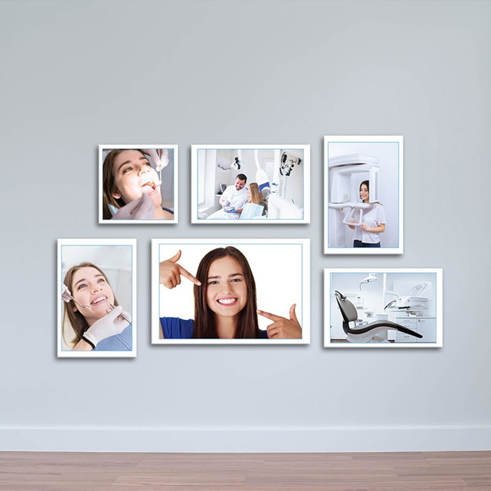 Tranh giải phẫu răng dành cho phòng khám nha khoa chuyên nghiệp