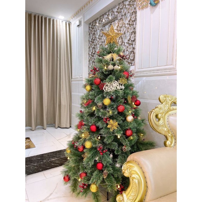 Cây thông noel a6 cước nở hoa gắn trái đỏ