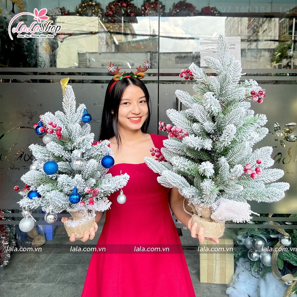 Cây Thông Noel Mini M5 Phủ Tuyết
