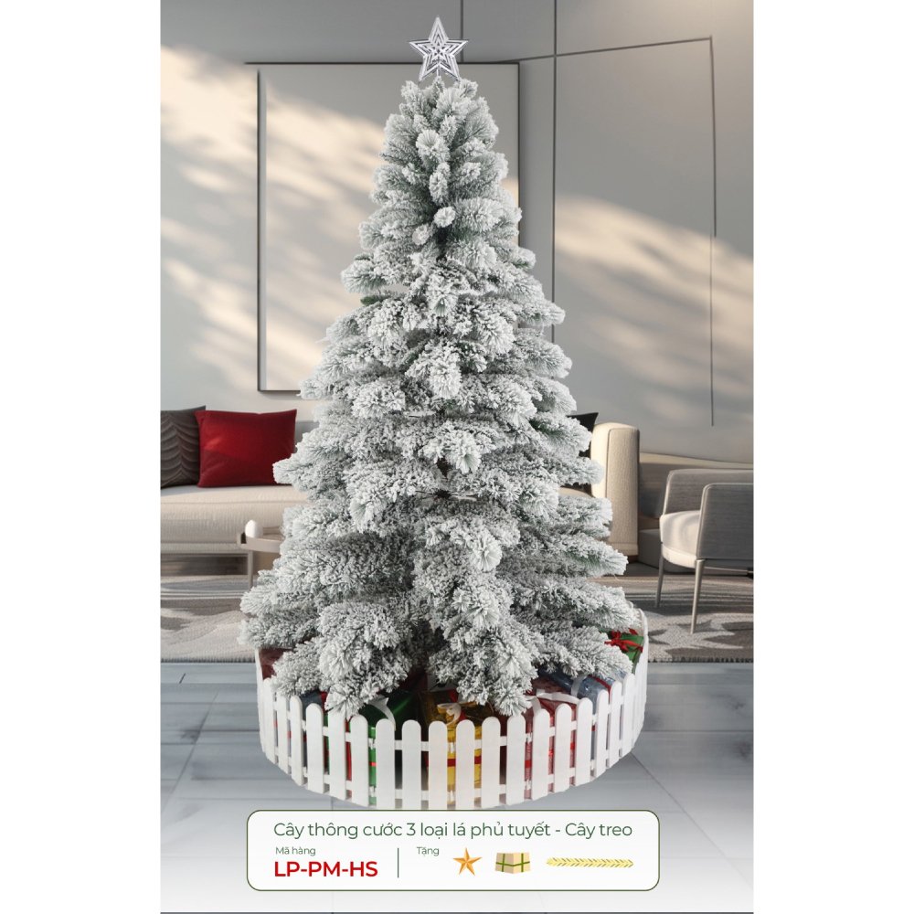 Cây Thông Cước 3 Loại Lá Phủ Tuyết - Cây treo
