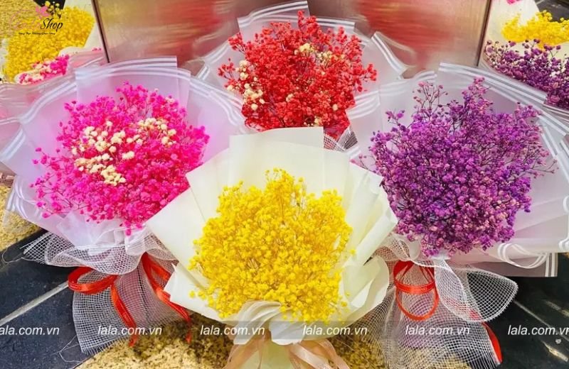 Hoa khô baby – Vẻ đẹp mộc mạc, dịu dàng, bền lâu theo thời gian.