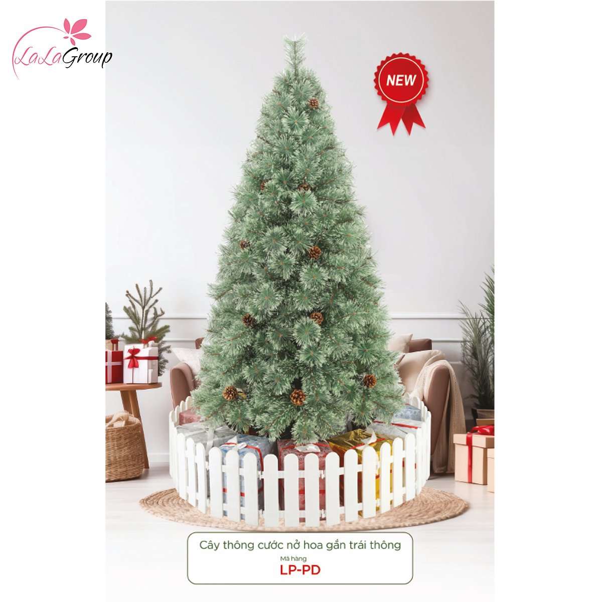 Cây thông cước nở hoa gắn trái thông