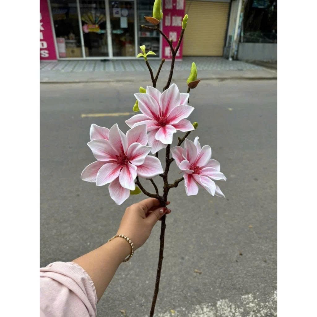 C&agrave;nh hoa mộc lan k&eacute;p nhiều m&agrave;u trang tr&iacute;