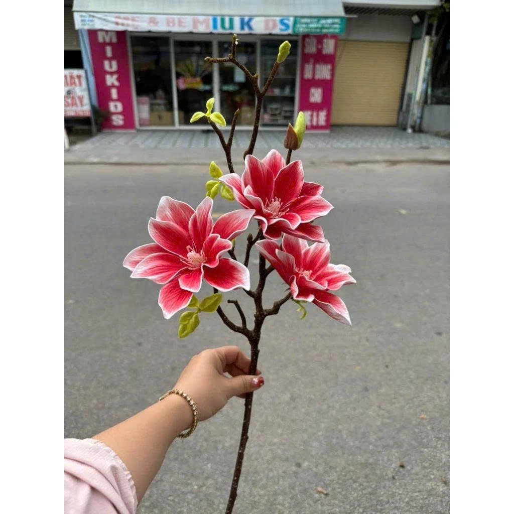 C&agrave;nh hoa mộc lan k&eacute;p nhiều m&agrave;u trang tr&iacute;