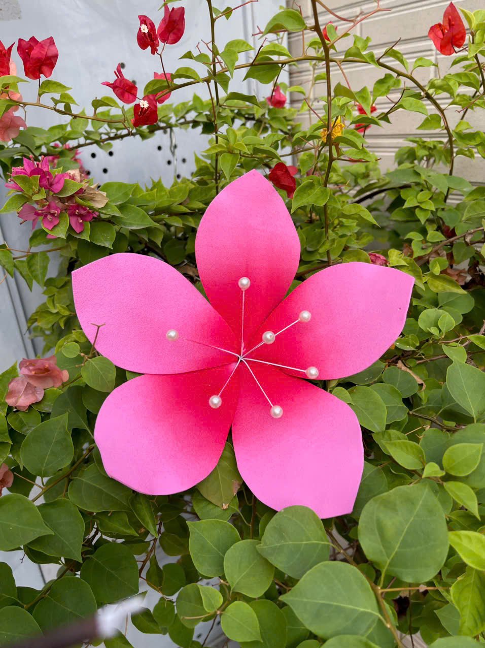 Hoa đ&agrave;o m&uacute;t xốp m&agrave;u hồng nhụy ngọc trai trang tr&iacute; tết