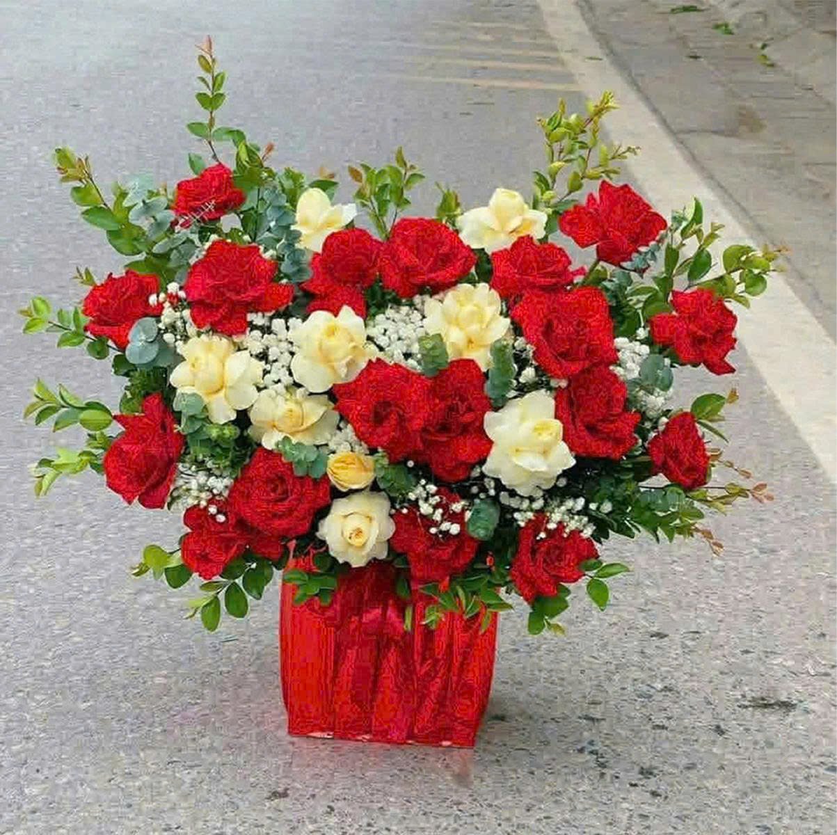 Chậu Hoa Hồng Đỏ Rực Rỡ Qu&agrave; Tặng Ngọt Ng&agrave;o