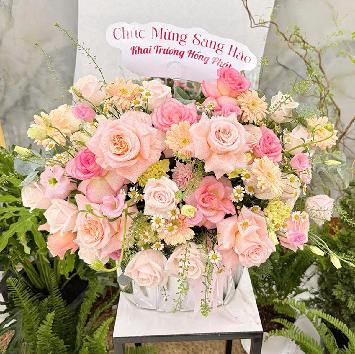 Chậu Hoa Hồng Pastel Mix C&uacute;c Họa Mi Ngọt Ng&agrave;o