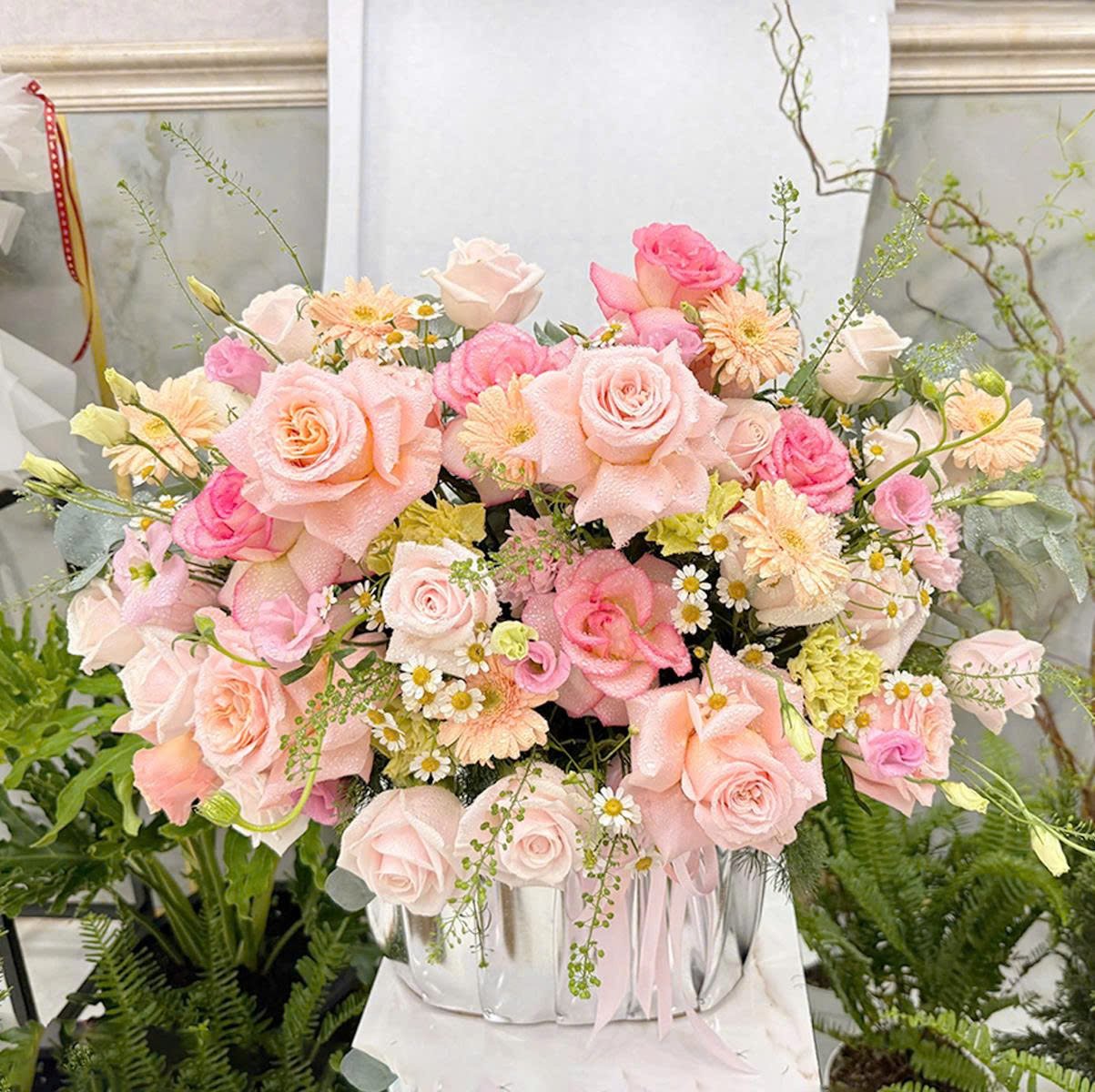 Chậu Hoa Hồng Pastel Mix C&uacute;c Họa Mi Ngọt Ng&agrave;o