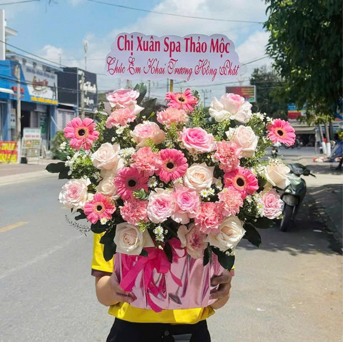 Chậu Hoa Hồng Pastel Mix Hoa Đồng Tiền Sắc Hồng Dịu D&agrave;ng