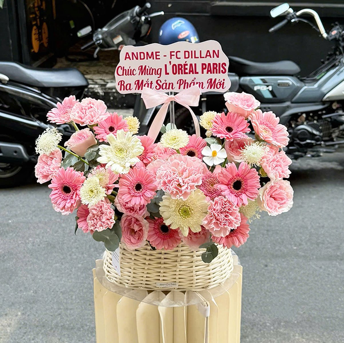 Giỏ Hoa Đồng Tiền Mix Cẩm Chướng Hồng Dịu D&agrave;ng