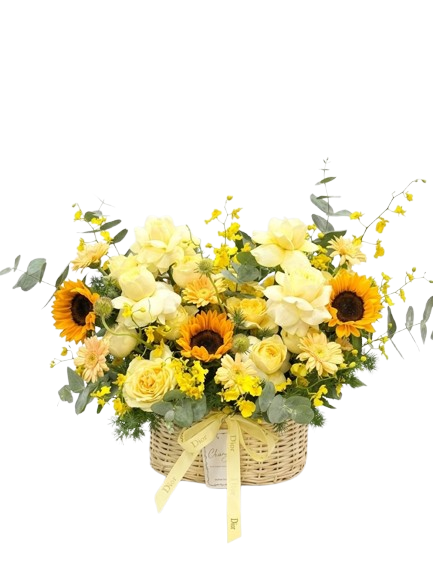 Gỉỏ Hoa Tia Nắng V&agrave;ng Tươi