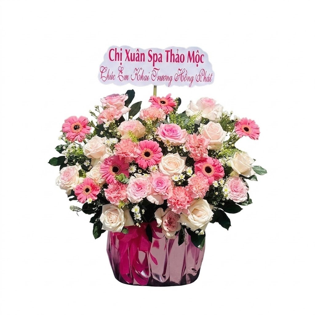 Chậu Hoa Hồng Pastel Mix Đồng Tiền Y&ecirc;u Kiều