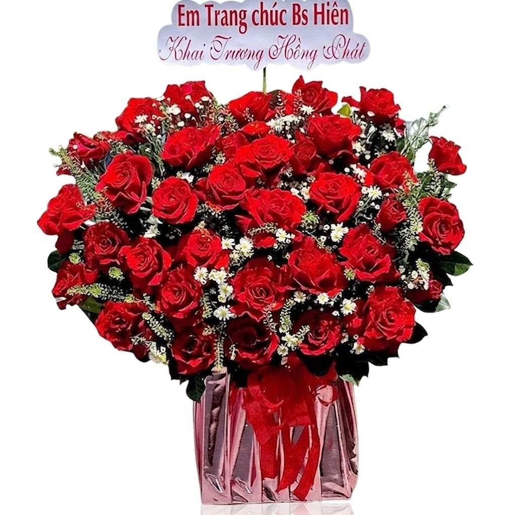 Chậu Hoa Hồng Đỏ Rực Rỡ L&atilde;ng Mạn