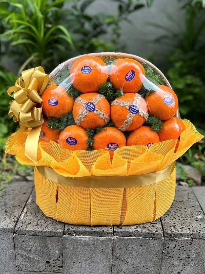 Giỏ Qu&yacute;t &Uacute;c Nhập Khẩu Vạn Sự Hanh Th&ocirc;ng