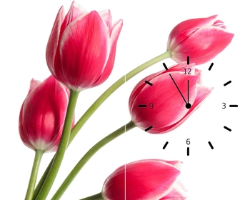 Đồng hồ hoa tulip hồng 2 tấm 30x60x2