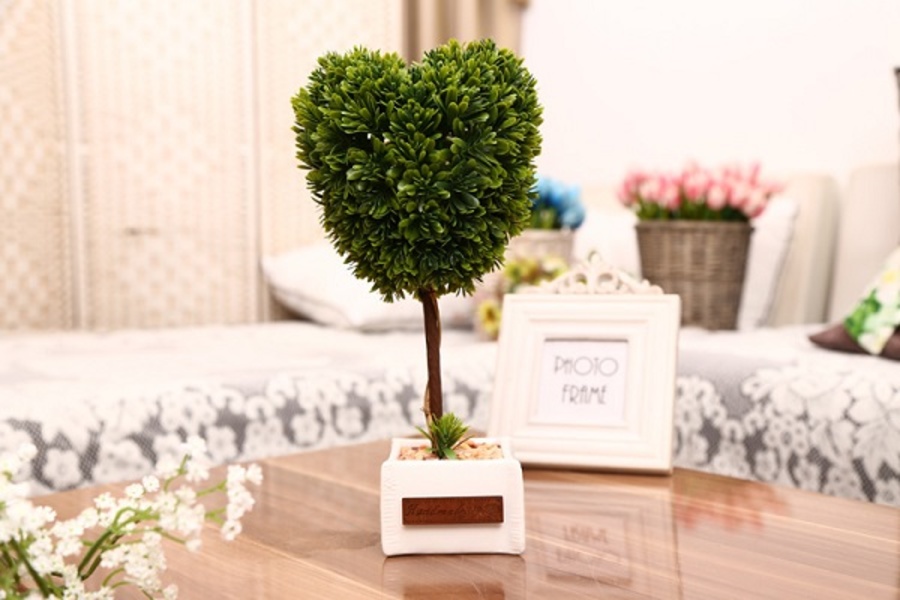 Ảnh sản phẩm - Lala Shop