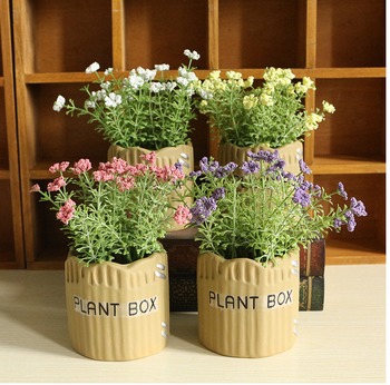 Chậu hoa Plant Box để bàn (CH)