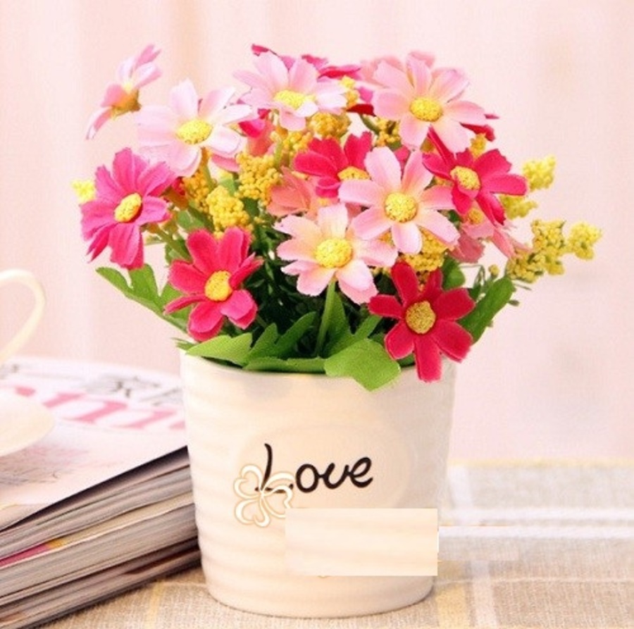 Chậu hoa love sao nhái