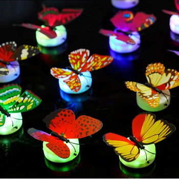 Đèn led bướm 3D