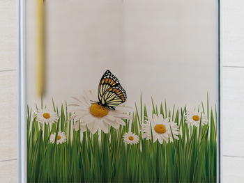 Decal kính mờ hoa và bướm