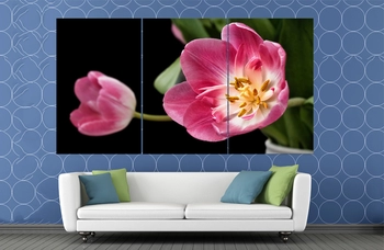 Vẽ tranh tường cành hoa tulip