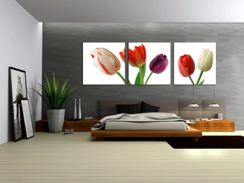 Vẽ tranh tường hoa tulip nhiều màu sắc 2