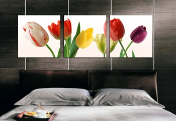 Vẽ tranh tường hoa tulip nhiều màu sắc 3