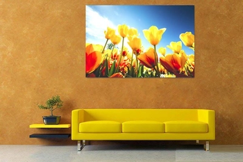 Tranh dán tường hoa tulip vàng 2