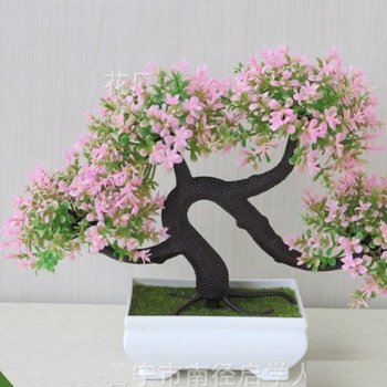 Chậu hoa bonsai 2
