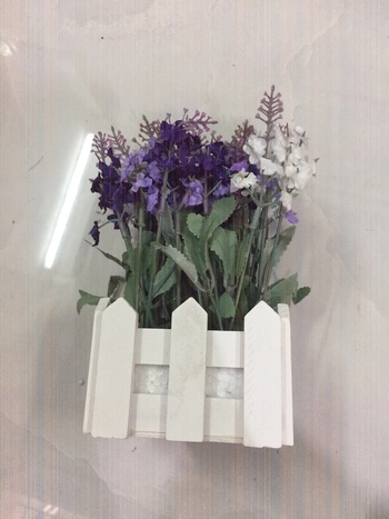 chậu hoa hàng rào Lavender hình vuông