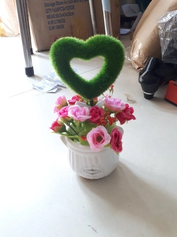 Chậu hoa trái tim xanh