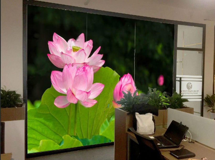 Tranh Dán Tường Đầm Sen Đẹp 3
