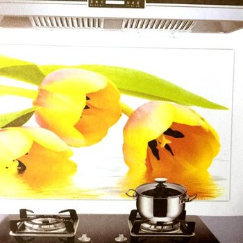 Decal dán bếp hoa tulip vàng 60x90