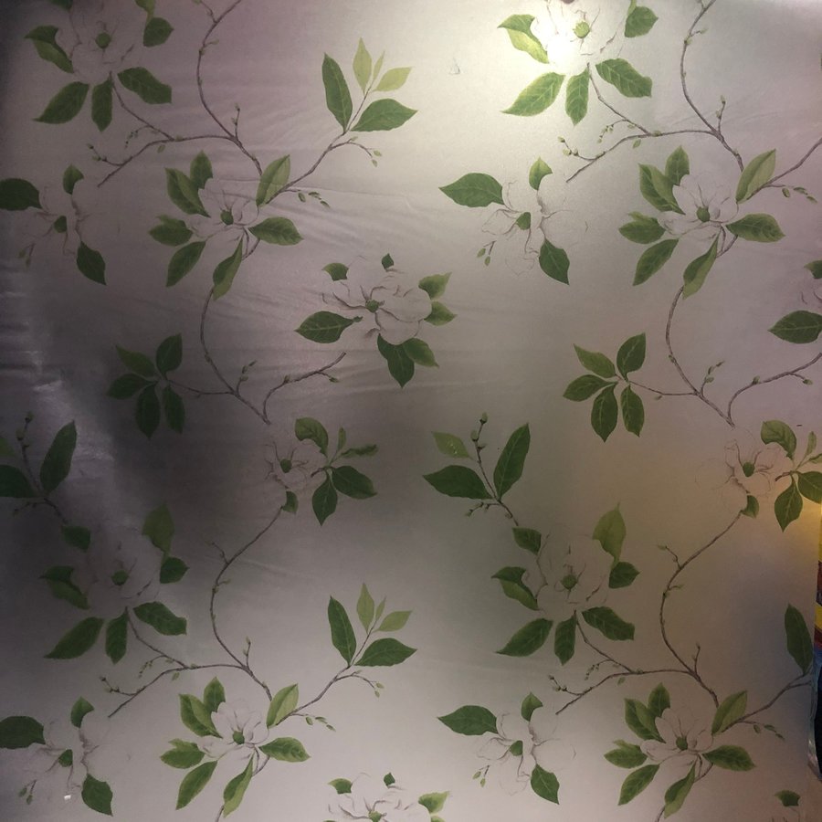 Giấy decal cuộn kính mờ cành lá xanh hoa trắng