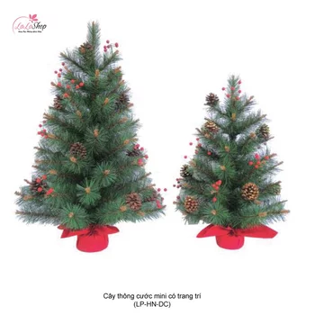 Cây thông cước mini có trang trí