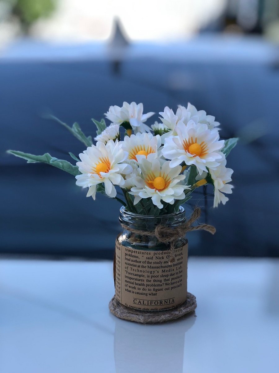 Chậu hoa cúc trắng mini handmade
