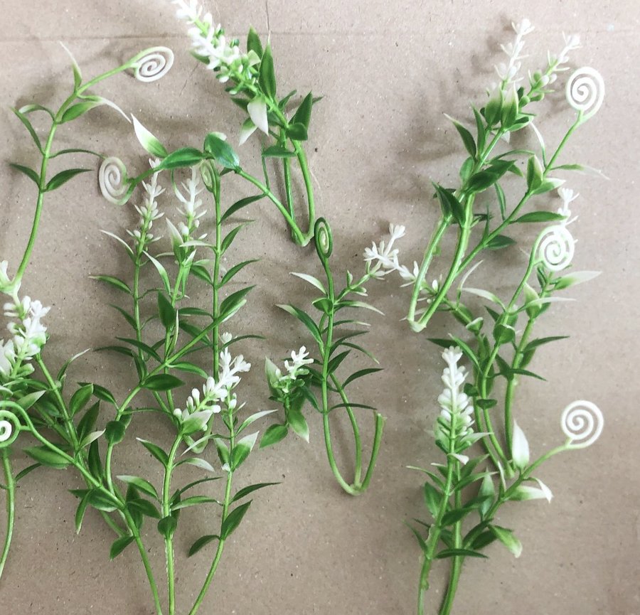 Hoa bi điểm trắng trang trí loại xoắn