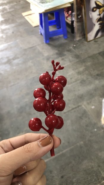 Cành cherry đỏ có ngọn trang trí tết