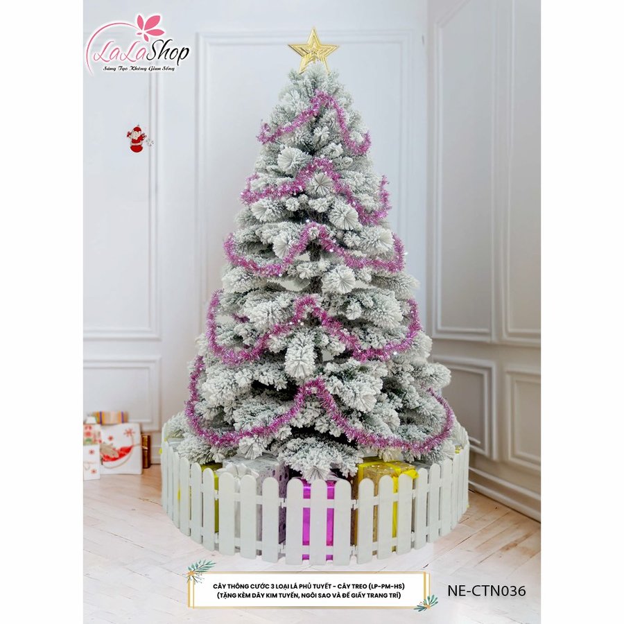 Cây Thông Cước 3 Loại Lá Phủ Tuyết - Cây treo